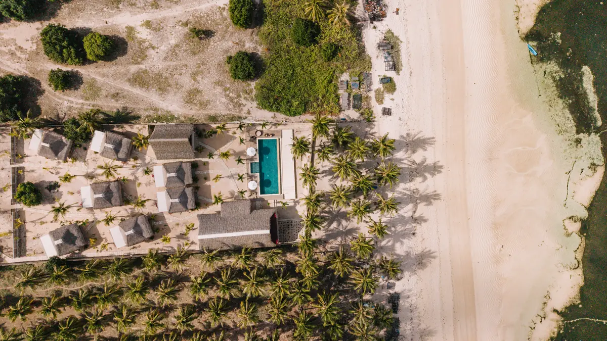 The property, the palm grove and the beach from above