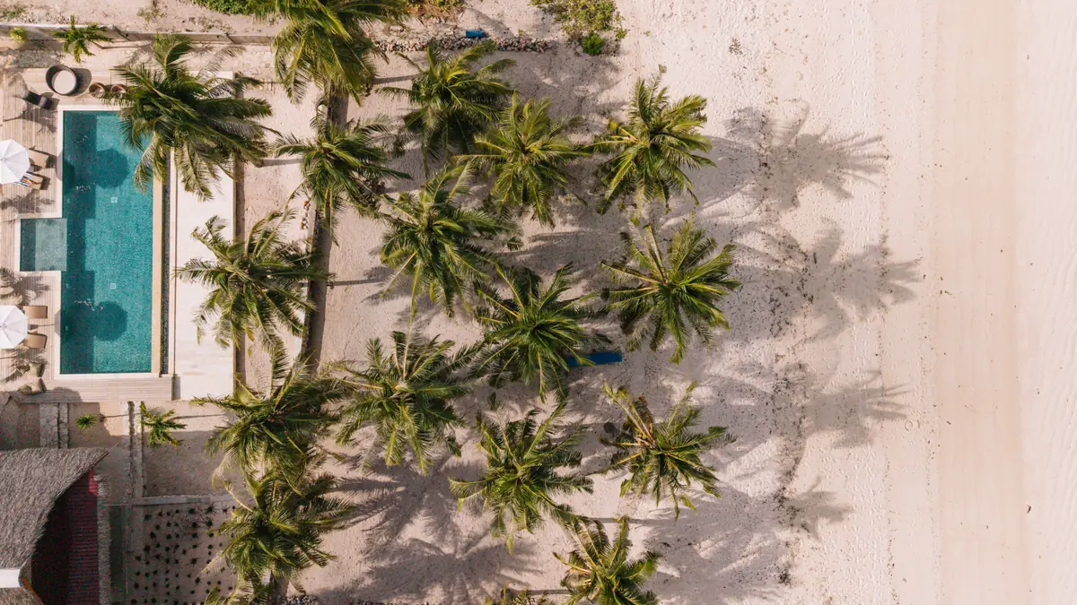 Palm shadows on the sand between the pool and the beach