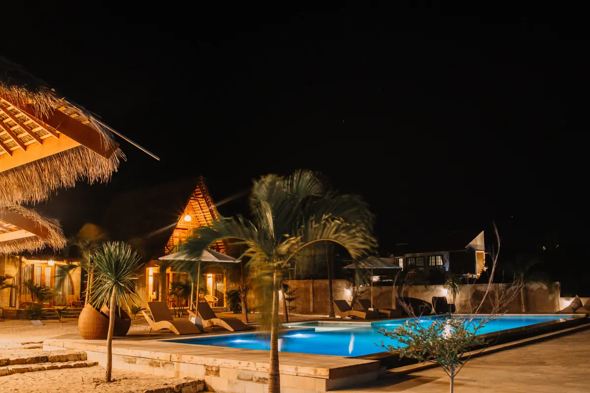 Palms and the pool after dark